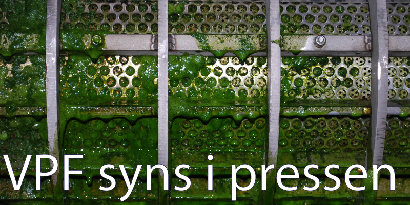 Pressmaskin i Växtproteinfabriken