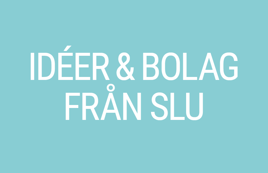 Ideas and companies from SLU