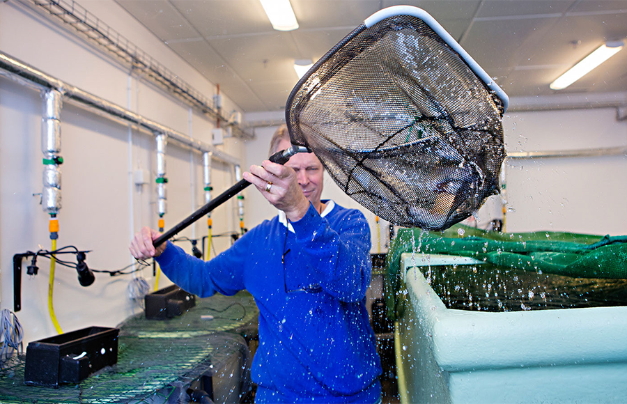 Anders Kiessling. Photo: Linn Bergbrant